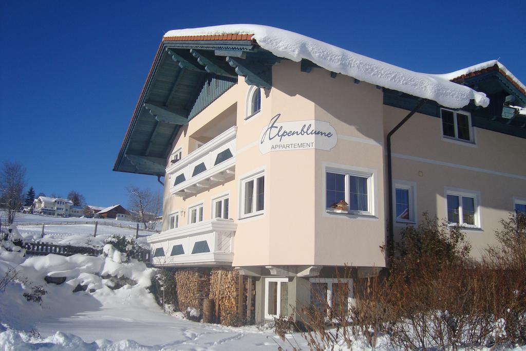Appartement Alpenblume Schladming Luaran gambar